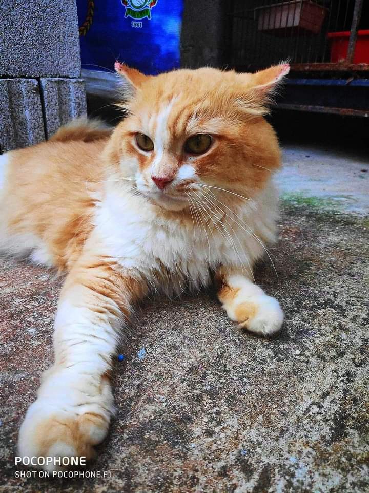 don't be mad because you are so cute