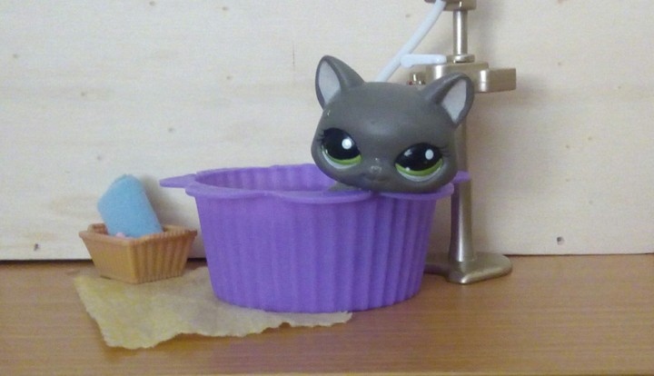 LPS Cat
