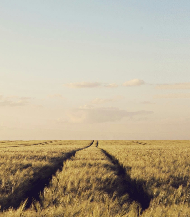Road to the horizon