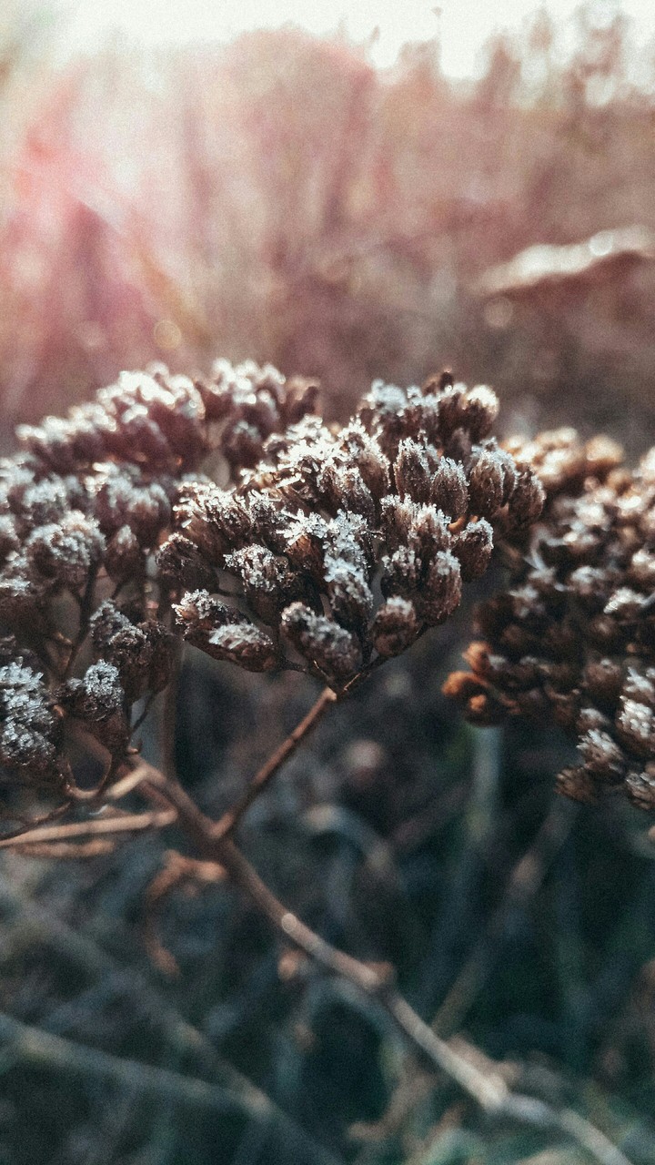 осень