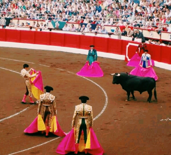 el toro