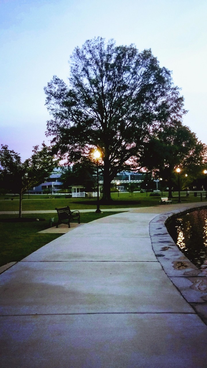 pathway