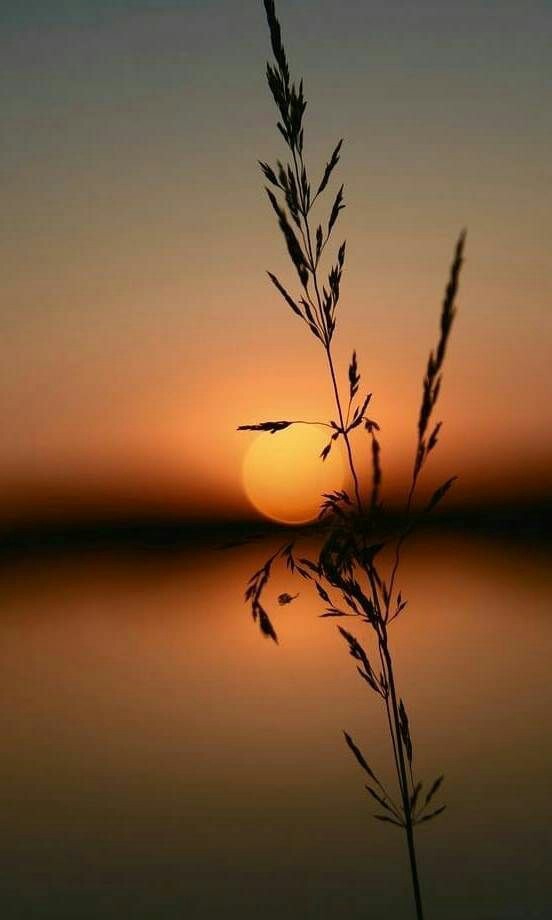 ،