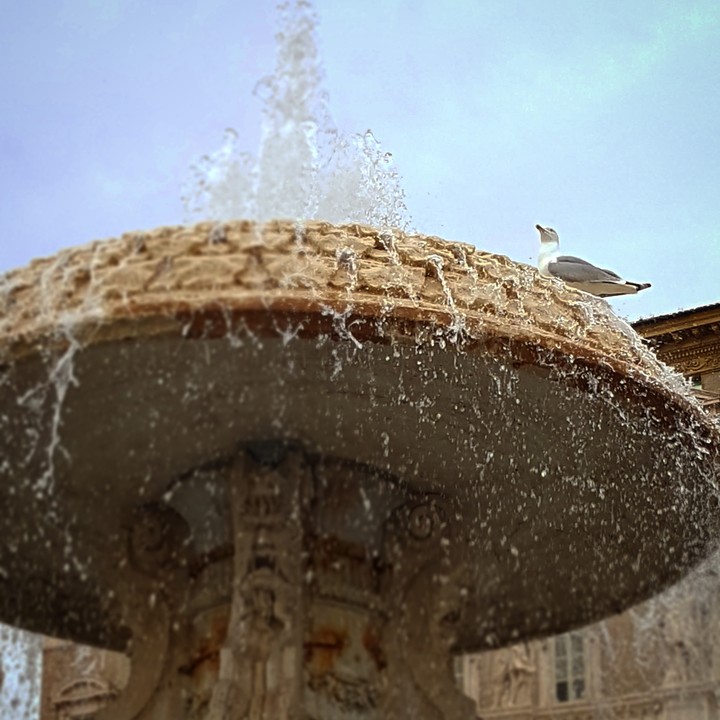 Fontana Piazza San Pietro e il suo Gabbiano