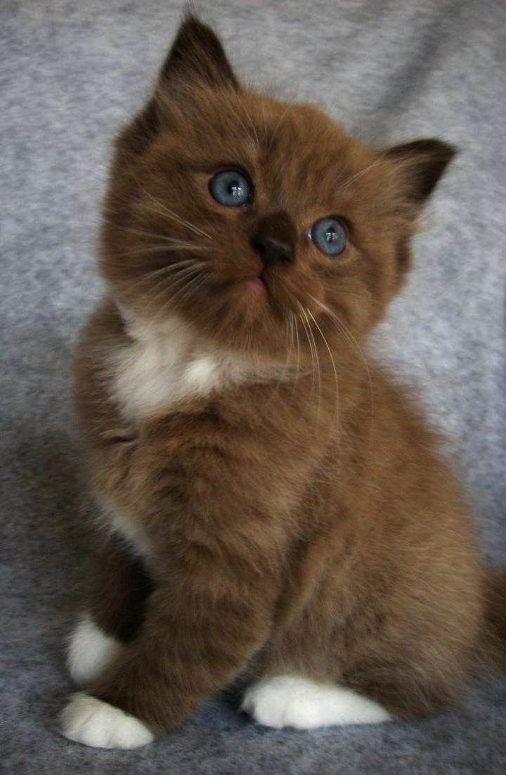 ❤❤❤