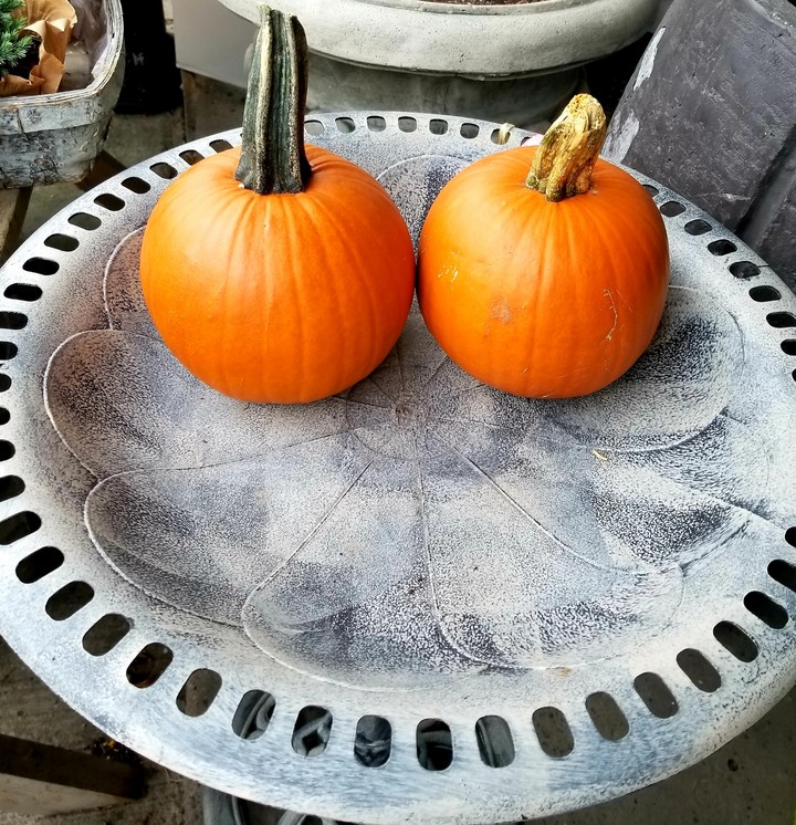 Pumpkins
