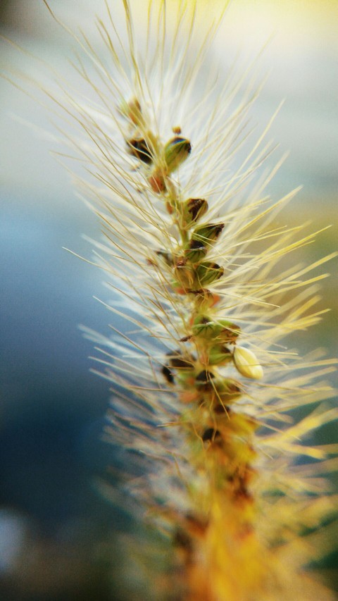 Natureza
