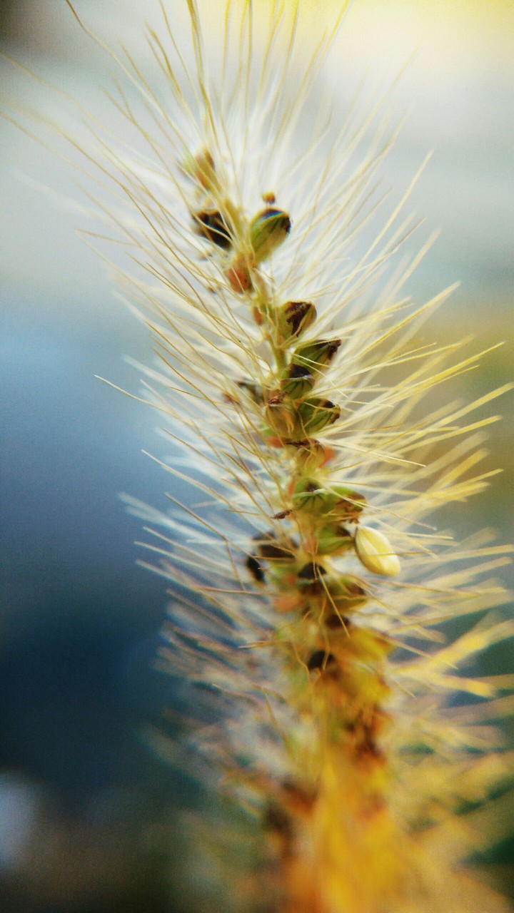 Natureza