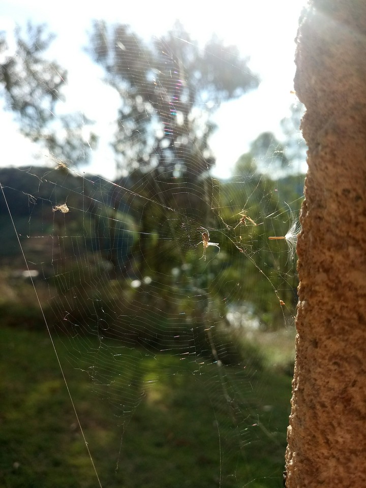 #natureza