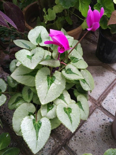 1390