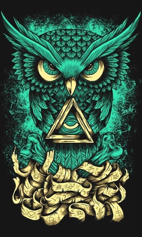 Owl