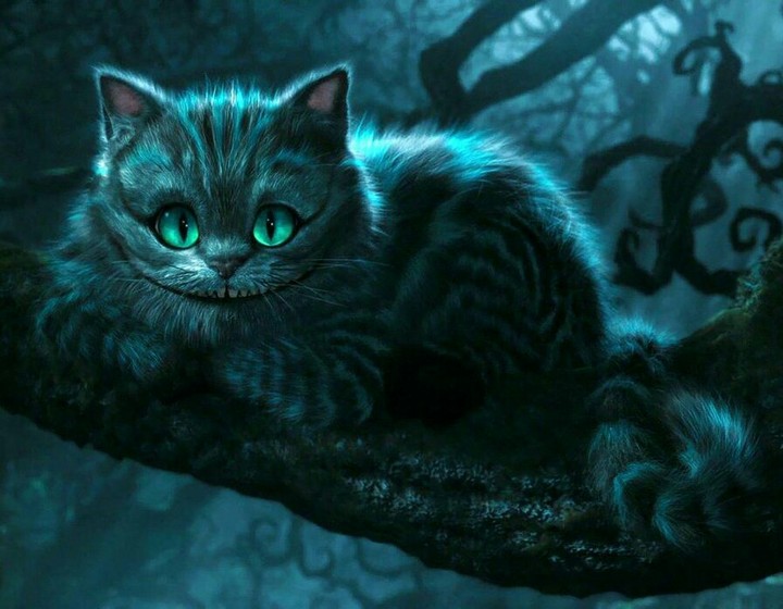 чеширский кот