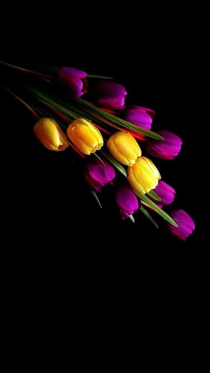 KHURRAM