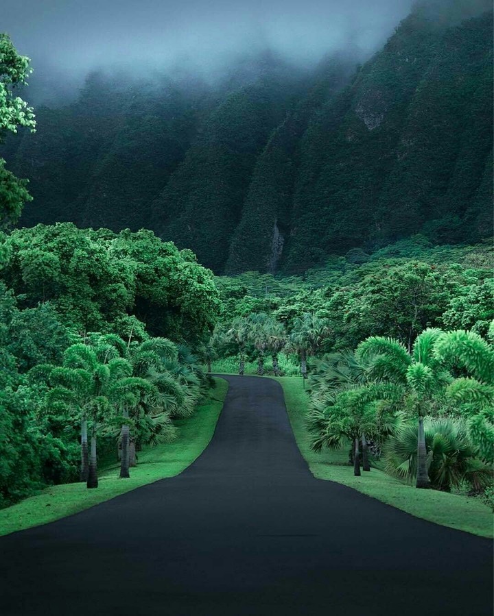 Hawaii