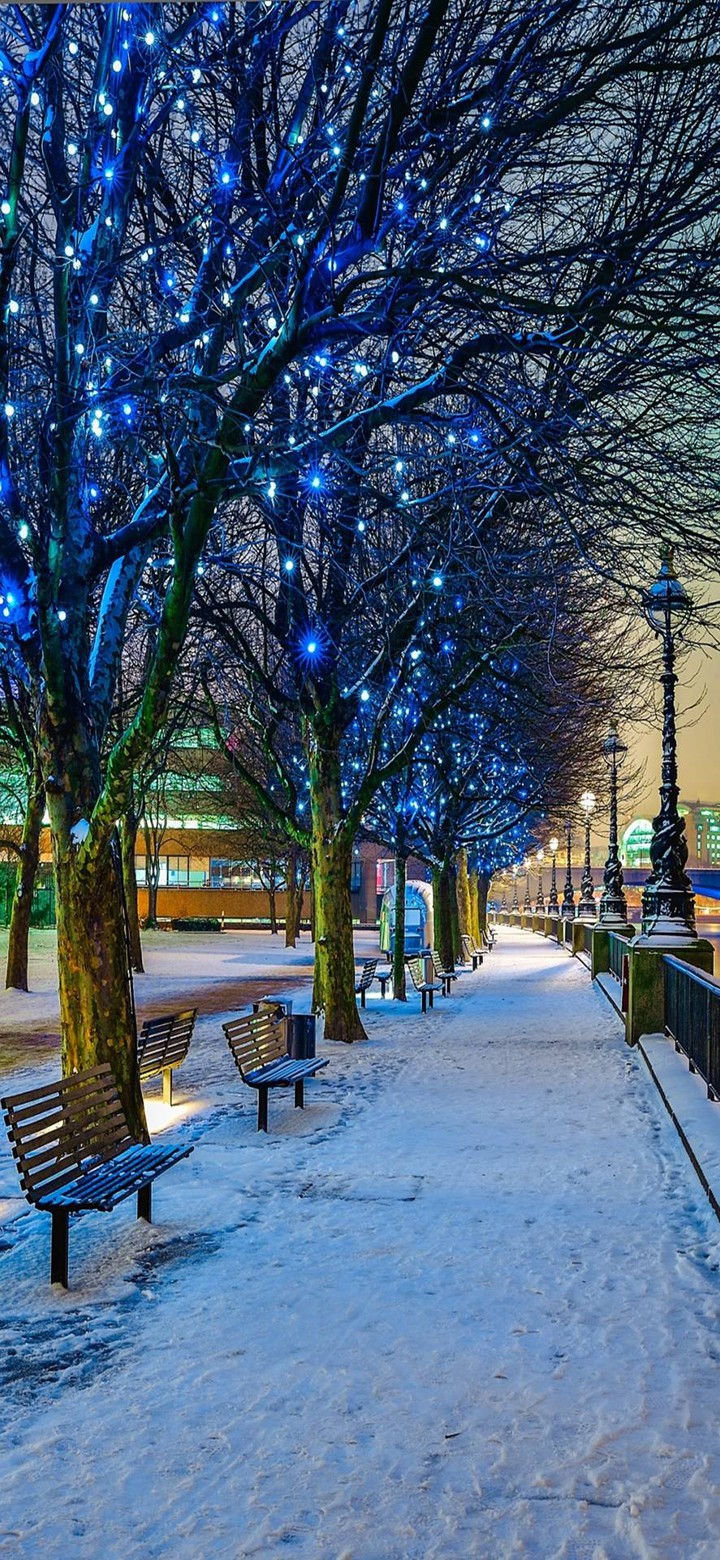 winter