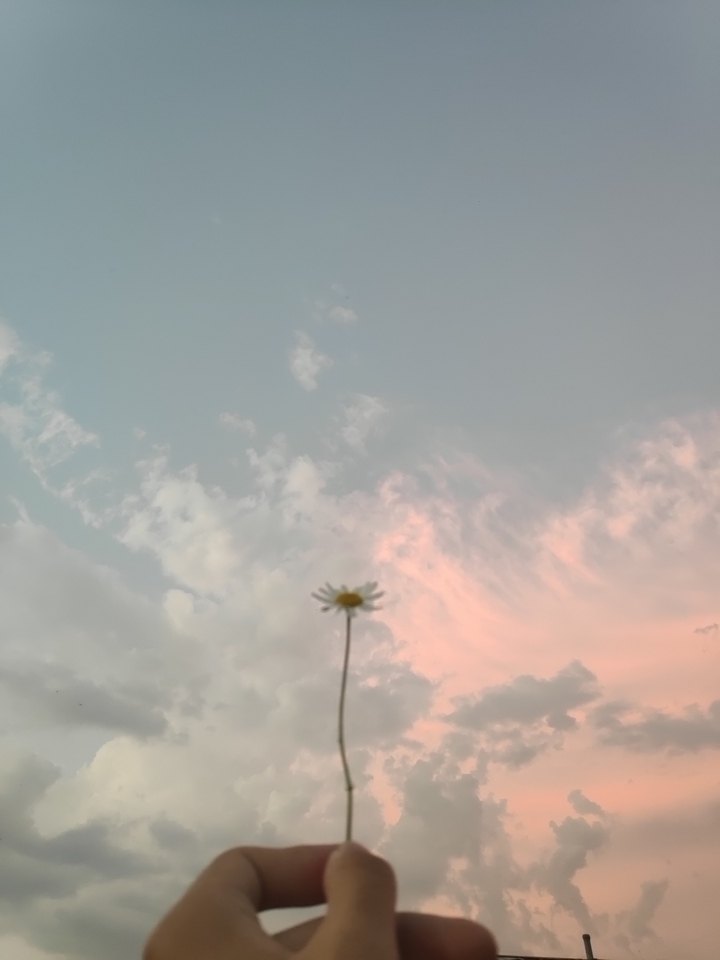 Nice clouds