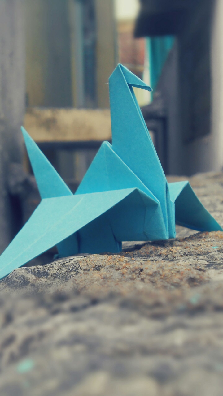 Blue Crane