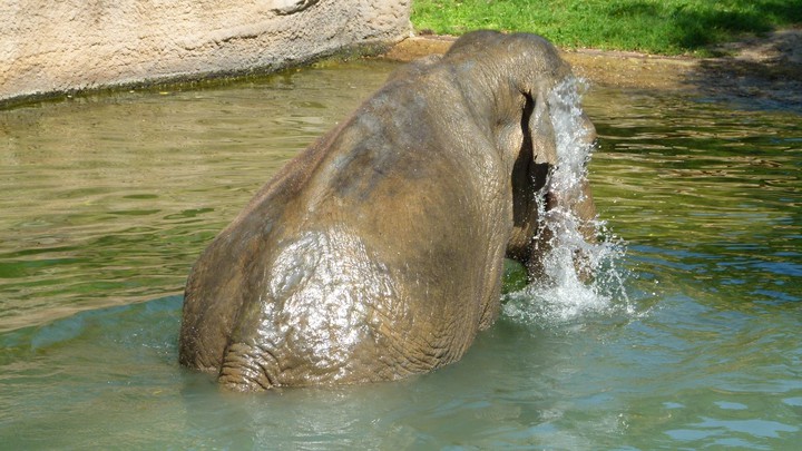 Zoo Leipzig 2011