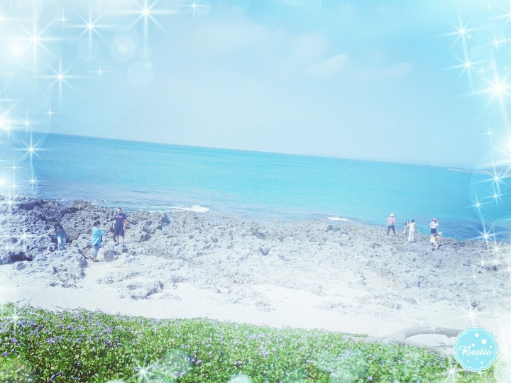 海