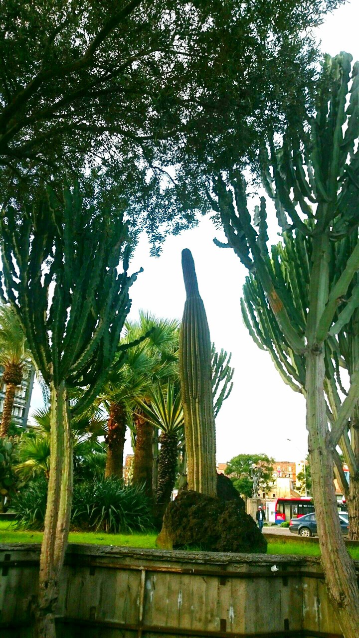 STAMATIOS
