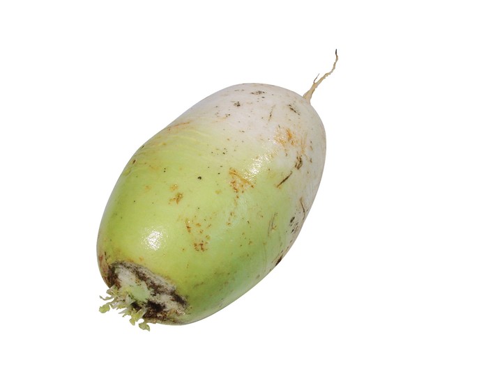 음식이미지