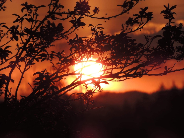 Sonnenuntergang
