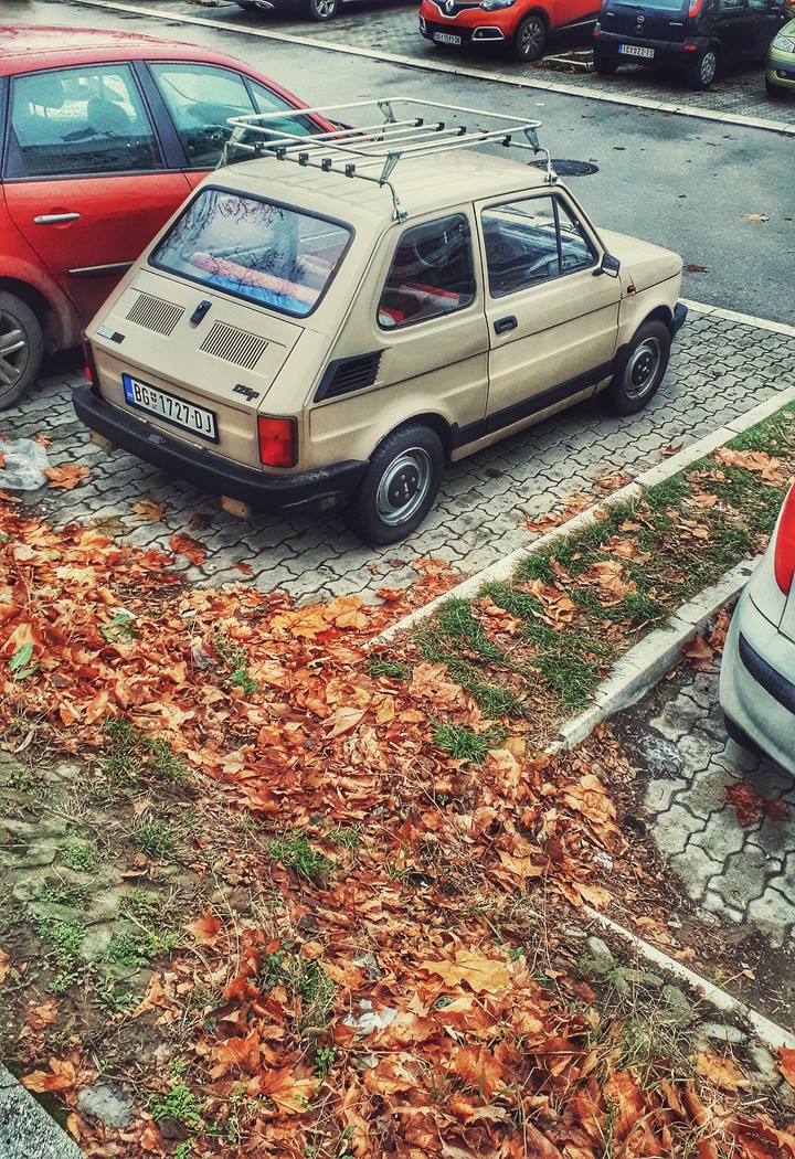fiat 126