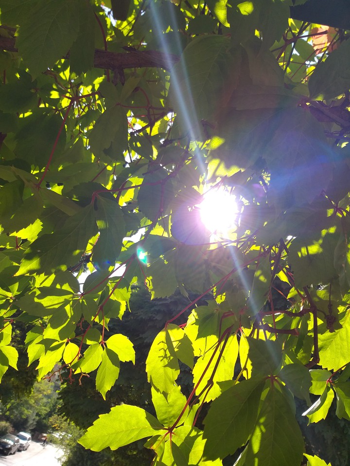 sun..