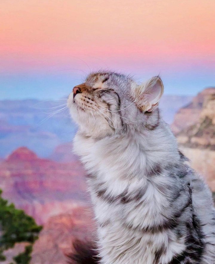#cute