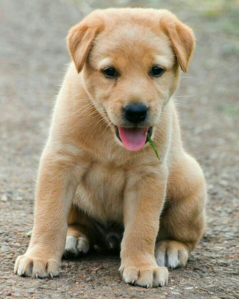 Beauty