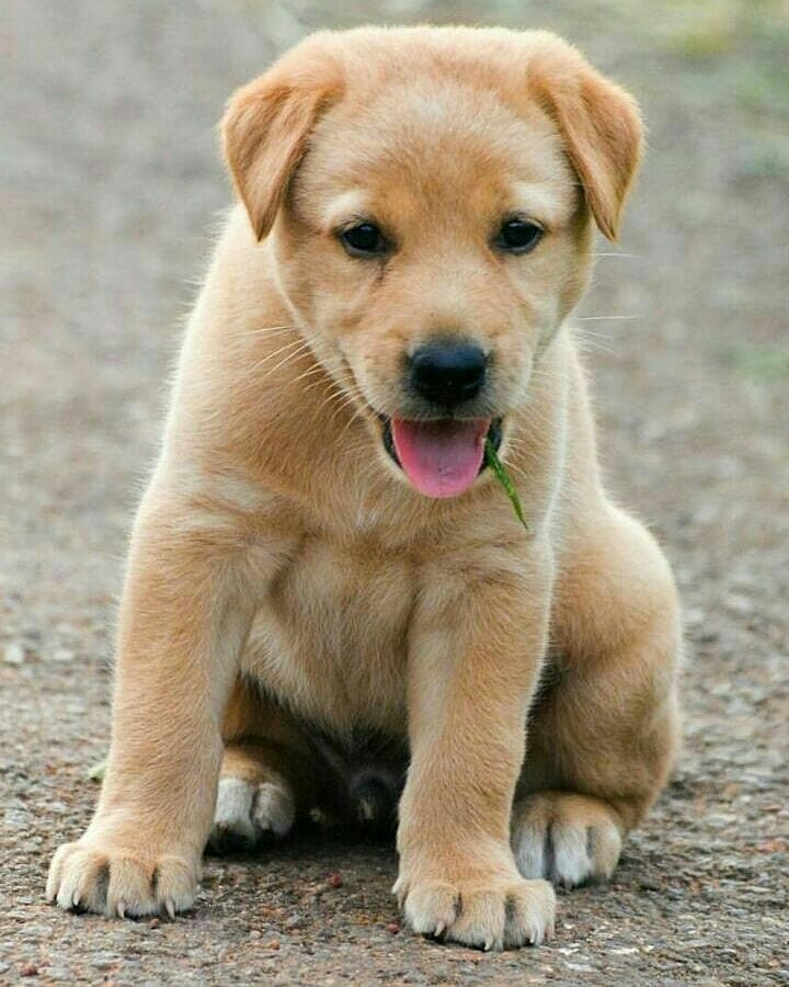 Beauty