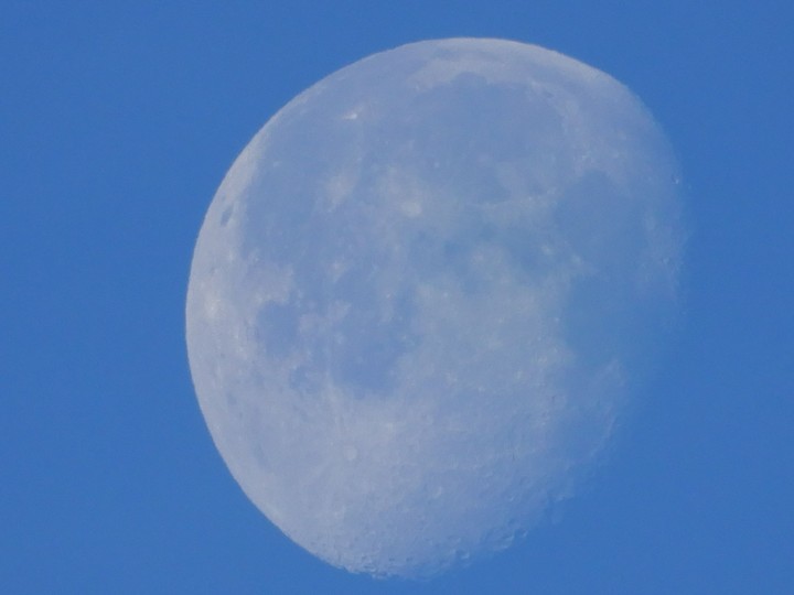 morning moon