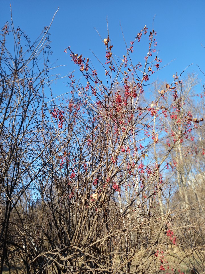 Осень