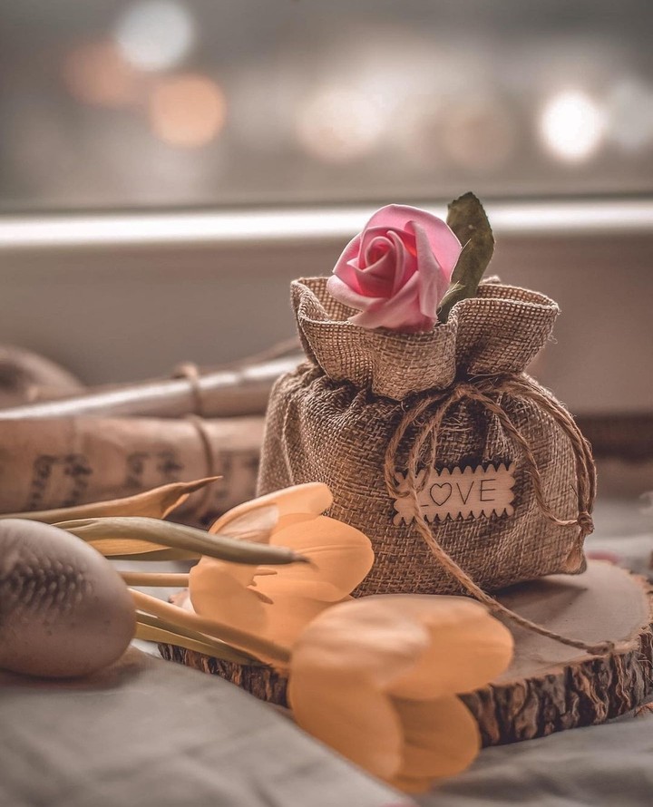 still_life, cute, flowers...