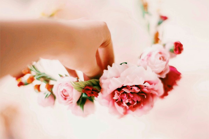 Flower ❤️