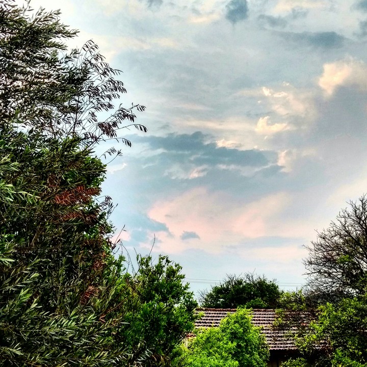 Depois da chuva
