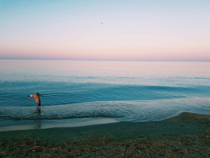 sea