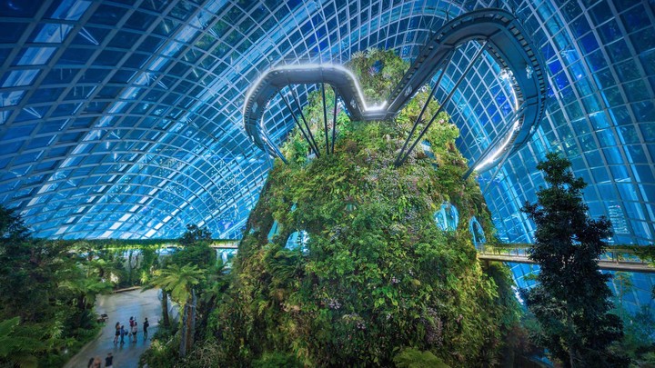 Gardens by the Bay natural park