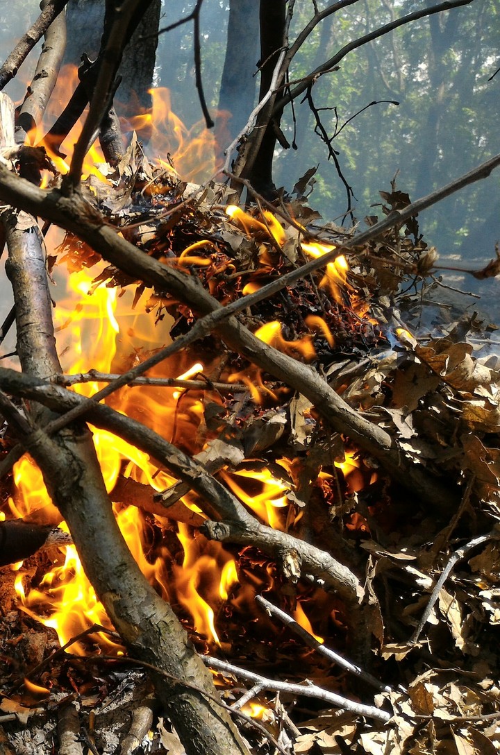 Fire