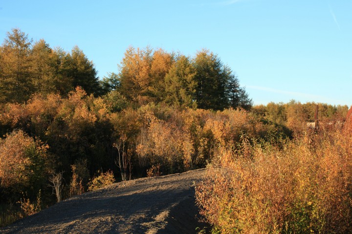 пейзаж