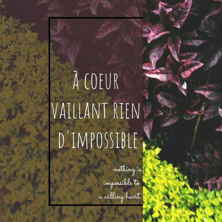 Nothing is impossible to a willing heart