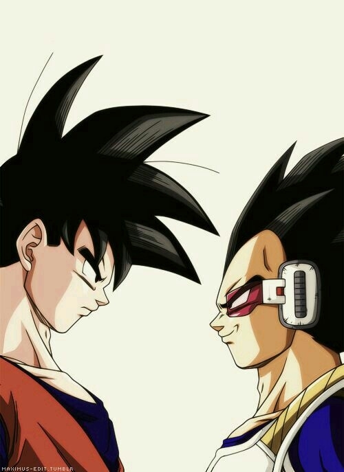 Goku and Vegeta