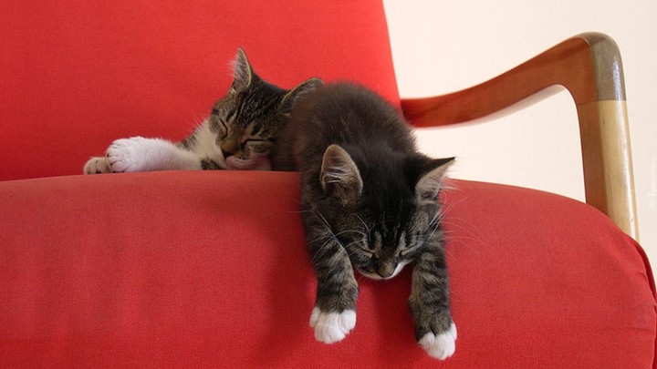 Good night