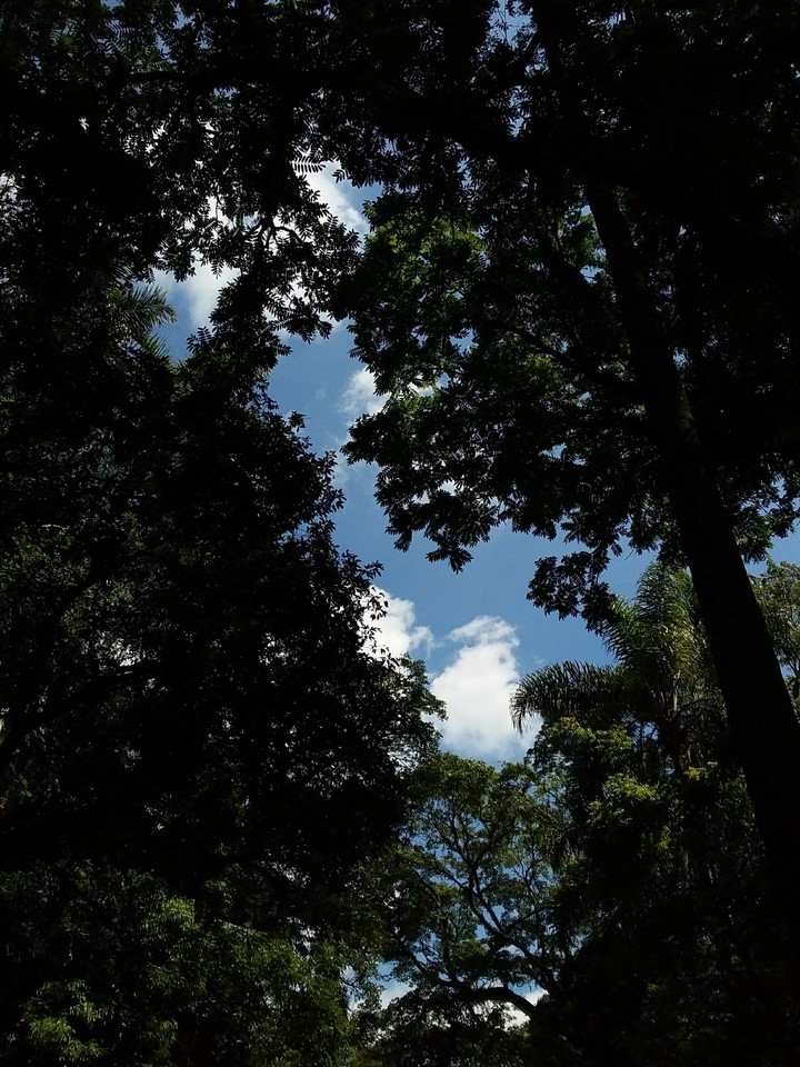 Sky São Paulo