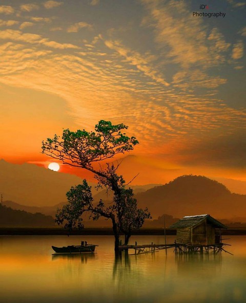 হোম