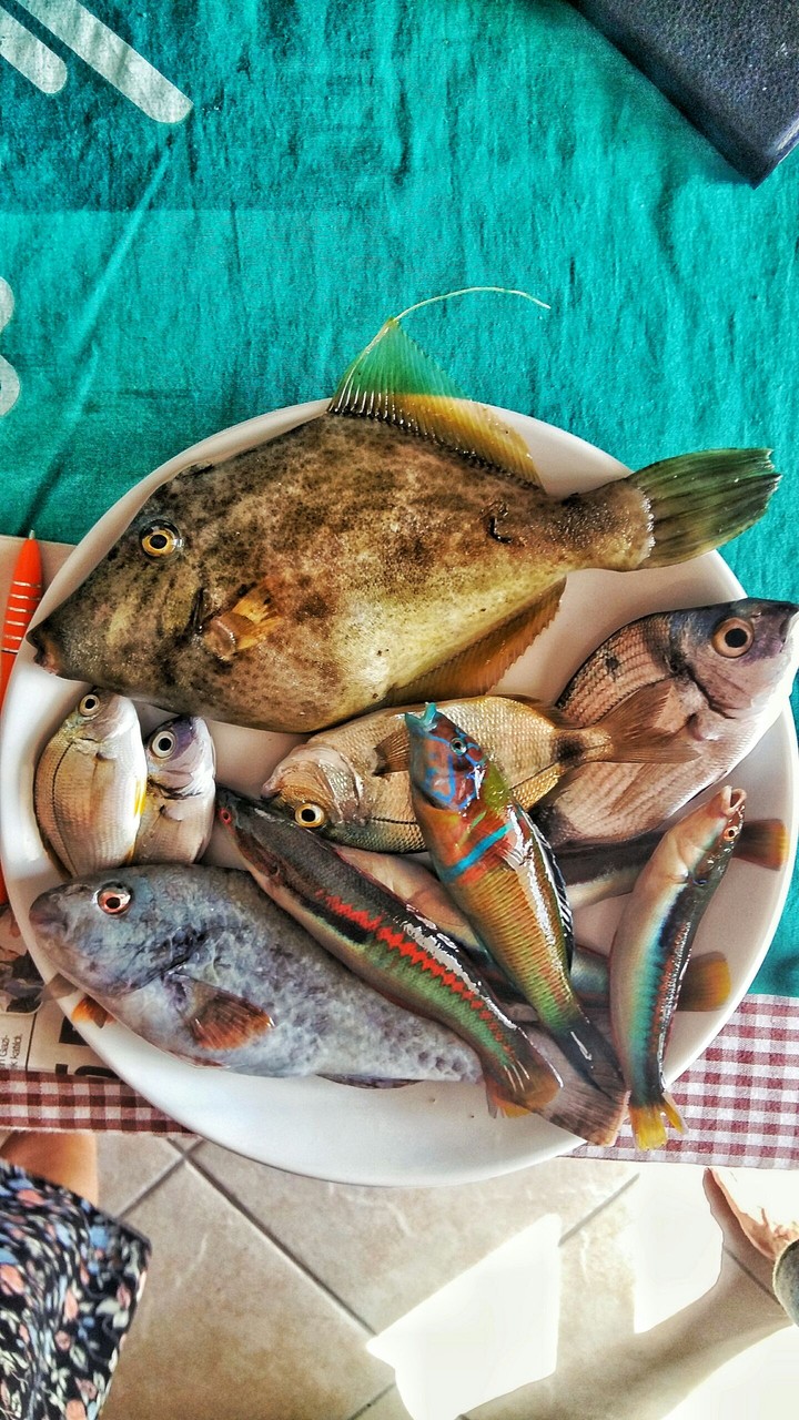 Bodrum Muğla