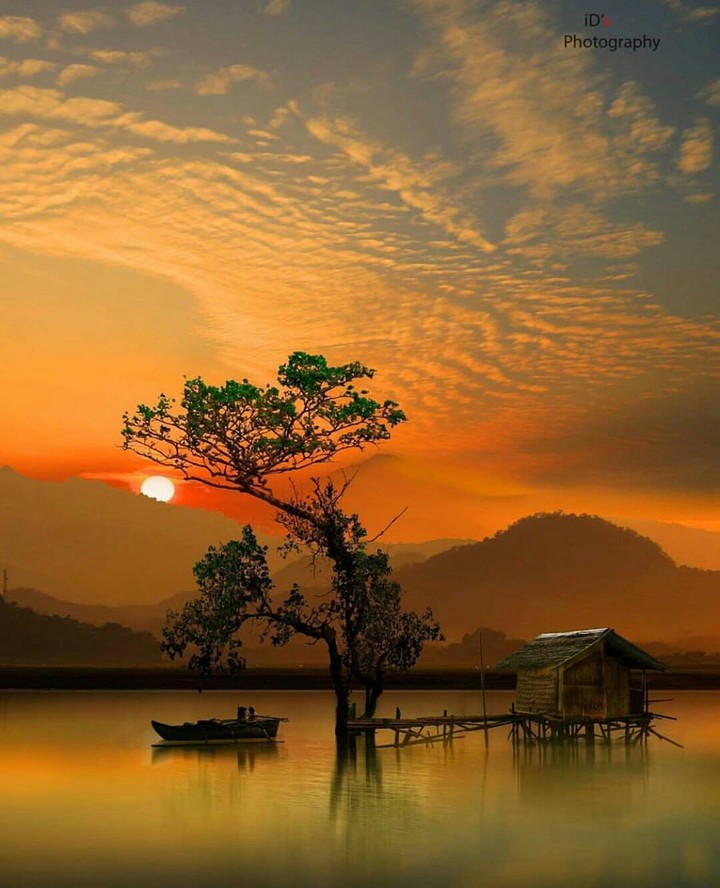 হোম