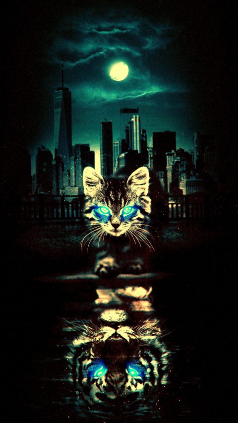cat Concept