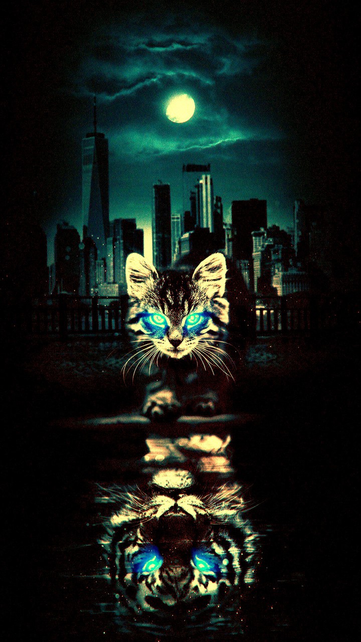 cat Concept