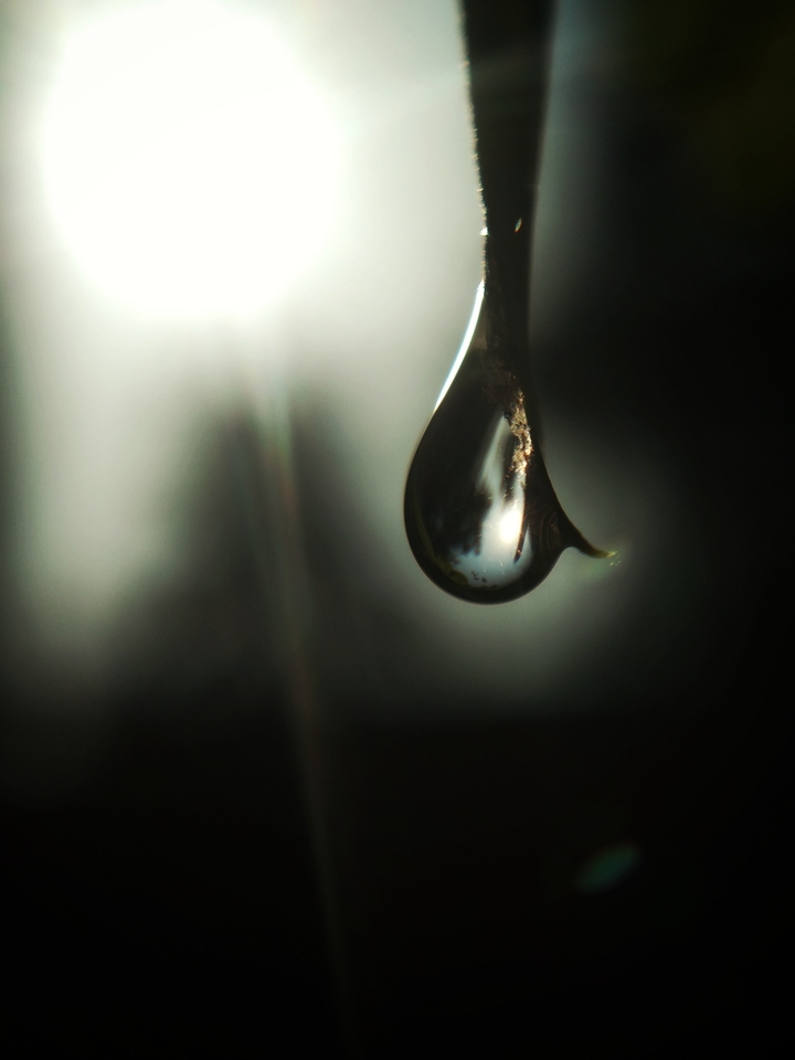 drops of life